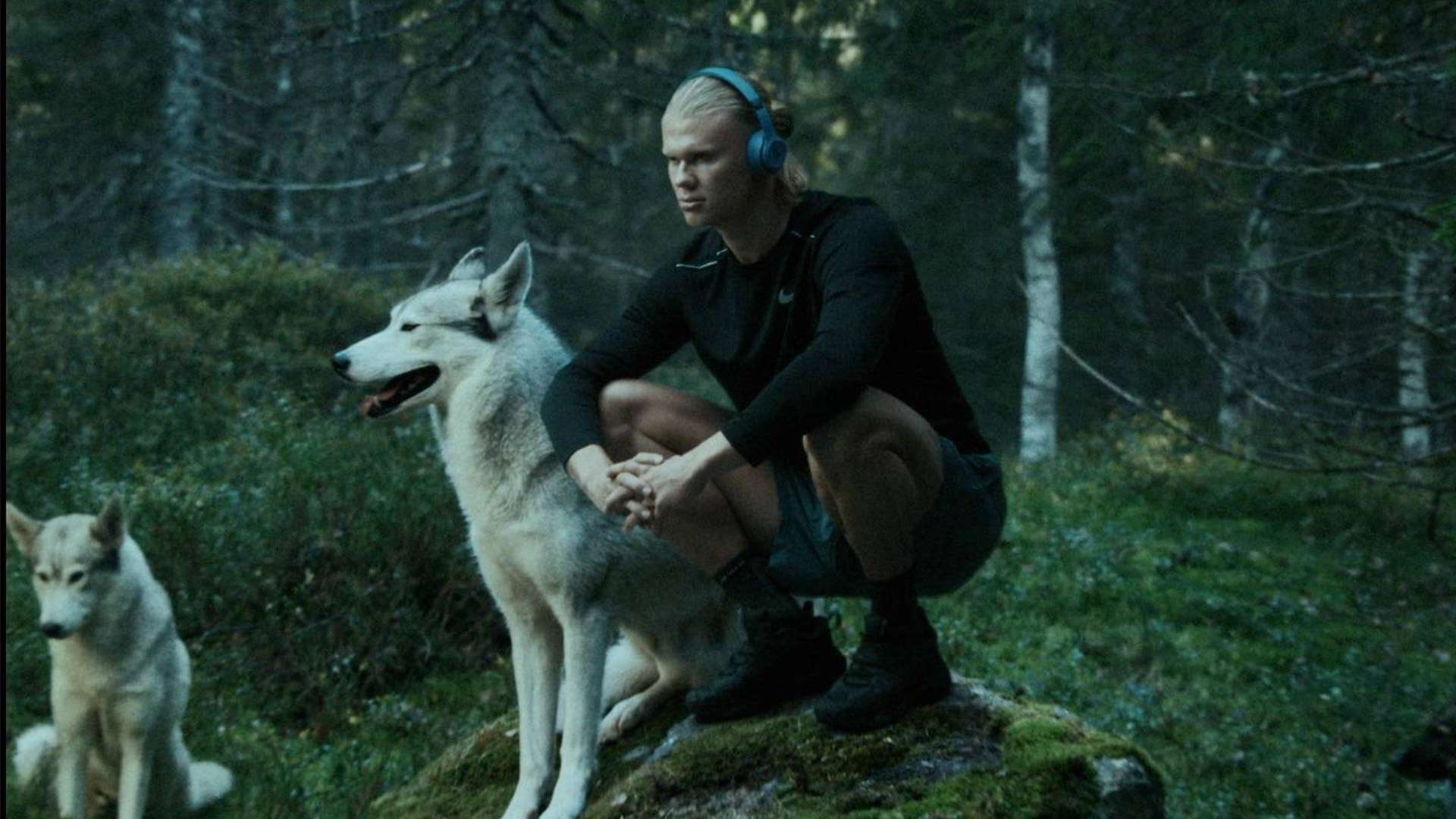 务压力使得 务压力使得